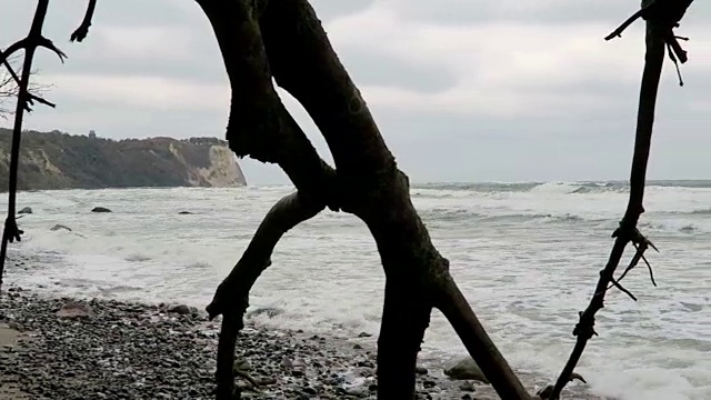 波罗的海沿岸的阿科纳角海滩景观。白垩崖和黑刺李丛。(德国梅克伦堡- vorpommern)鲁根岛。视频素材