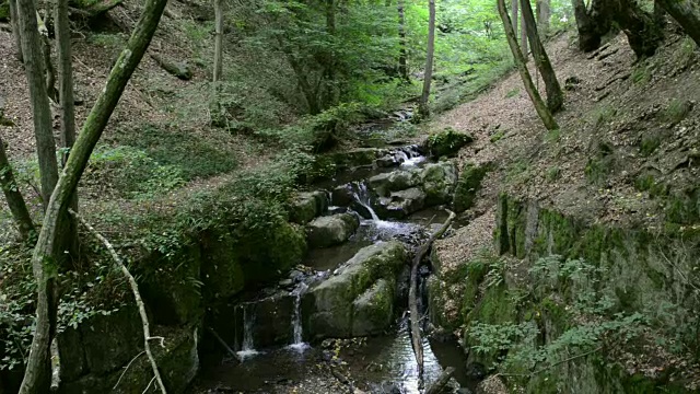 Donnerloch。摩泽尔河旁的布罗登巴赫河。瀑布和石头。野生景观。(德国莱茵兰-普法尔茨州)视频素材