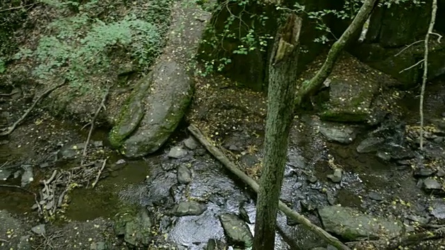 Donnerloch。摩泽尔河旁的布罗登巴赫河。瀑布和石头。野生景观。(德国莱茵兰-普法尔茨州)视频素材