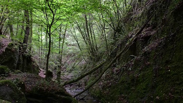 Donnerloch。摩泽尔河旁的布罗登巴赫河。瀑布和石头。野生景观。(德国莱茵兰-普法尔茨州)视频素材