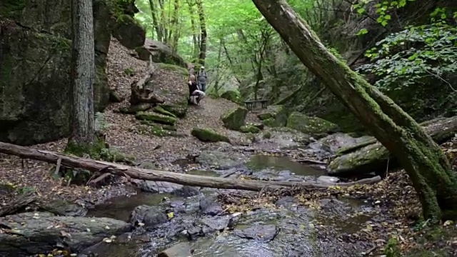 Donnerloch。摩泽尔河旁的布罗登巴赫河。瀑布和石头。野生景观。(德国莱茵兰-普法尔茨州)视频素材