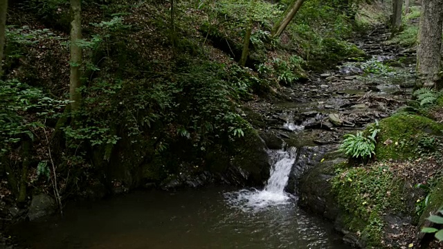 Donnerloch。摩泽尔河旁的布罗登巴赫河。瀑布和石头。野生景观。(德国莱茵兰-普法尔茨州)视频素材