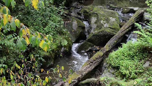 沿着摩泽尔河旁的野溪埃尔巴赫徒步旅行。野生景观。(德国)视频素材