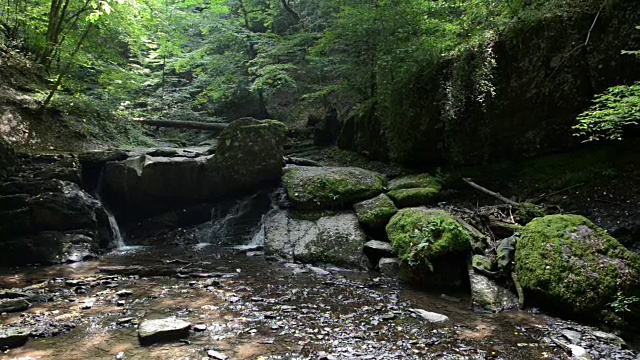 沿着摩泽尔河旁的野溪埃尔巴赫徒步旅行。野生景观。(德国)视频素材