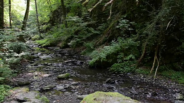 沿着摩泽尔河旁的野溪埃尔巴赫徒步旅行。野生景观。(德国)视频素材