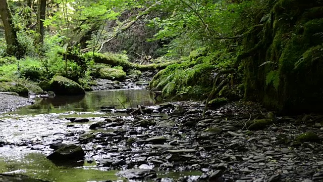 沿着摩泽尔河旁的野溪埃尔巴赫徒步旅行。野生景观。(德国)视频素材