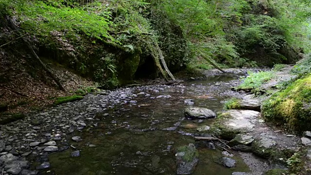 沿着摩泽尔河旁的野溪埃尔巴赫徒步旅行。野生景观。(德国)视频素材