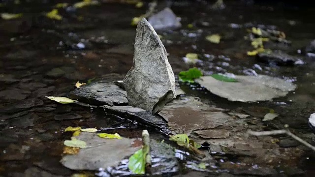 摩泽尔河旁的野溪埃尔巴赫的一些岩石。野生景观。(德国莱茵兰-普法尔茨州)。秋天的时间。叶子在水面上游动。视频素材