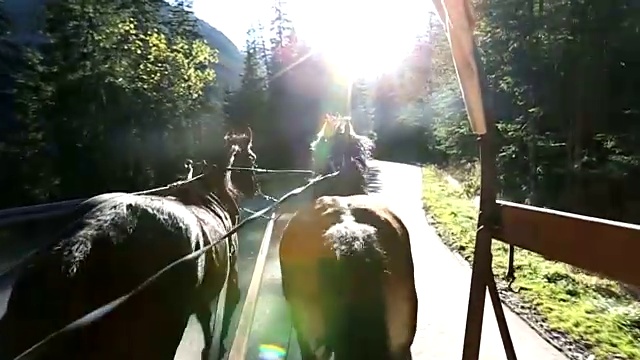 塔特拉山脉之旅视频素材画面2