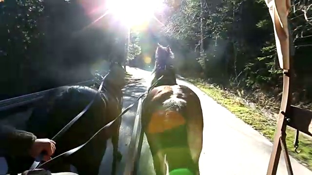 塔特拉山脉之旅视频素材画面3