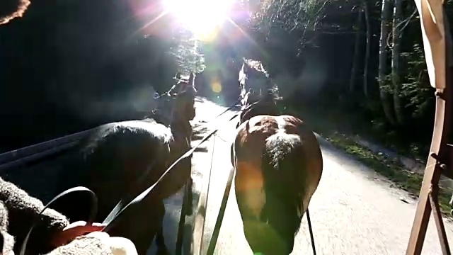 塔特拉山脉之旅视频素材画面4