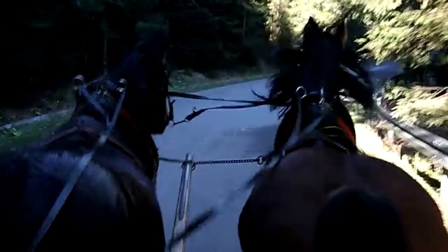 塔特拉山脉之旅视频素材画面1