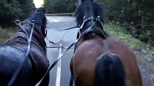 塔特拉山脉之旅视频素材画面2