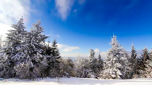 冬季景观与高云杉和雪山视频素材