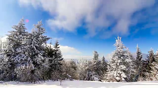 冬季景观与高云杉和雪山视频素材