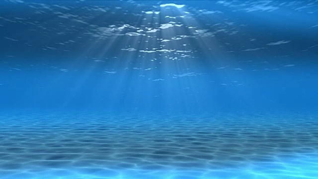 水下sceen。看看我的其他水下和海景动画视频素材画面1