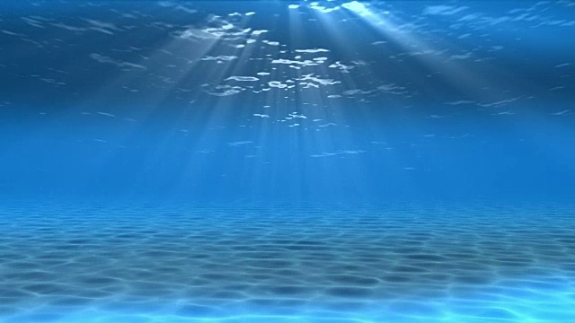 水下sceen。看看我的其他水下和海景动画视频素材画面2