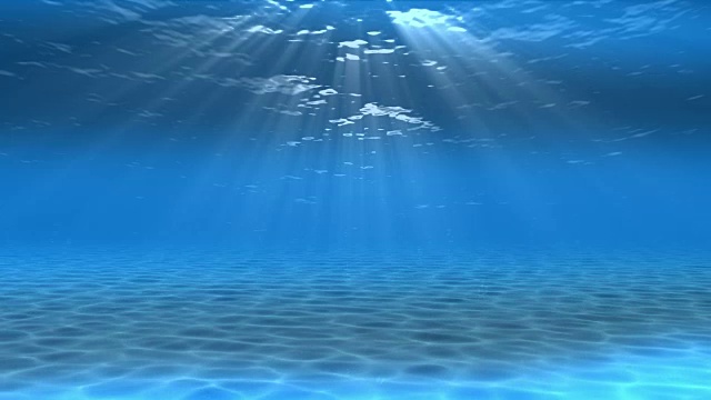 水下sceen。看看我的其他水下和海景动画视频素材画面3