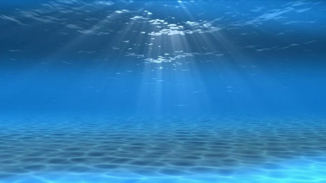 水下sceen。看看我的其他水下和海景动画视频素材画面4
