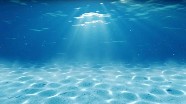 水下sceen。看看我的其他水下和海景动画视频素材画面1