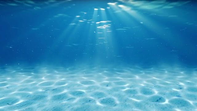 水下sceen。看看我的其他水下和海景动画视频素材画面2