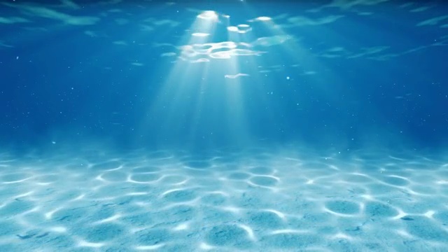 水下sceen。看看我的其他水下和海景动画视频素材画面3