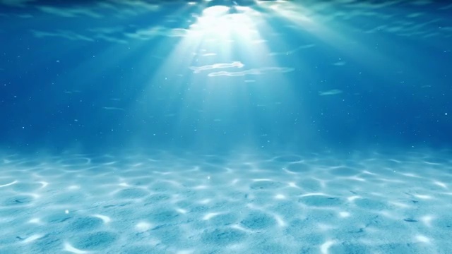 水下sceen。看看我的其他水下和海景动画视频素材画面4