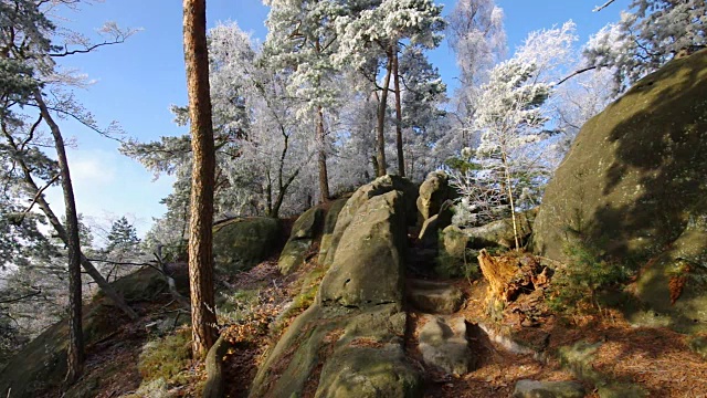 易北砂岩山冬季白霜，泰希斯坦山视频素材