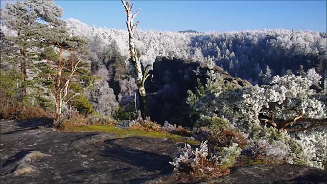 易北砂岩山冬季有白霜、冬堡山视频素材