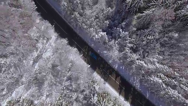 摄影:在白色的冬天，汽车行驶在落叶和针叶林的道路上视频素材画面2
