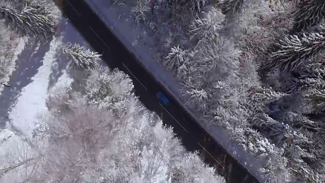 摄影:在白色的冬天，汽车行驶在落叶和针叶林的道路上视频素材画面4