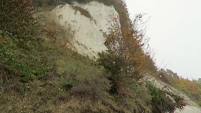 汝根岛白垩岩悬崖景观的秋天时间。色彩斑斓的山毛榉森林。(Mecklenburg-Vorpommern,德国)。波罗的海视频素材