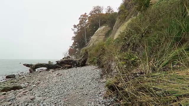 汝根岛白垩岩悬崖景观的秋天时间。色彩斑斓的山毛榉森林。(Mecklenburg-Vorpommern,德国)。波罗的海视频素材