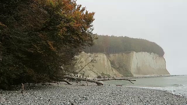 汝根岛白垩岩悬崖景观的秋天时间。色彩斑斓的山毛榉森林。(Mecklenburg-Vorpommern,德国)。波罗的海视频素材