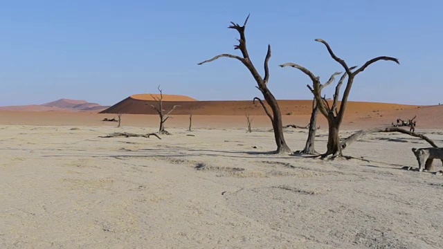 索苏斯瓦莱位于纳米比亚沙漠，非洲风景视频素材