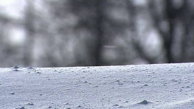 日本北海道雪景视频素材