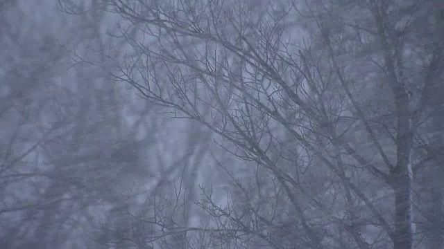 暴风雪,日本北海道视频素材