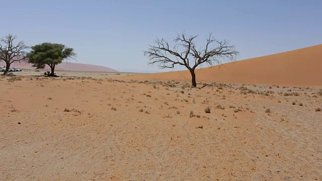 非洲荒野纳米比亚的45号沙丘全景图视频素材