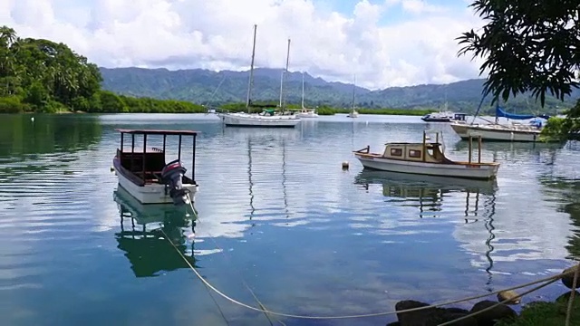 斐济瓦努阿岛萨乌萨武的纳卡马溪景观视频素材