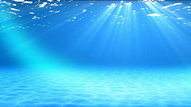 水下的场景。夏天旅游的背景。看看我的其他水下和海景动画视频素材画面2