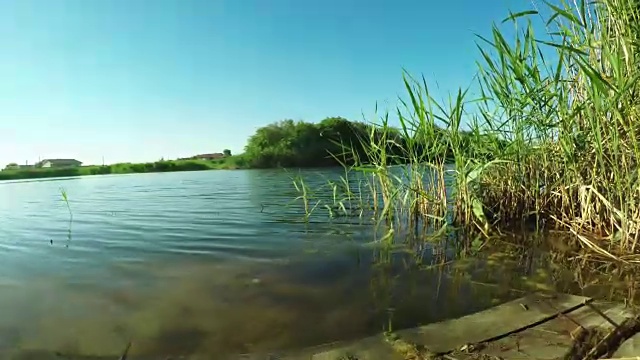 夏天的河岸视频素材