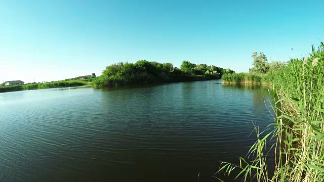 夏天的河岸视频素材