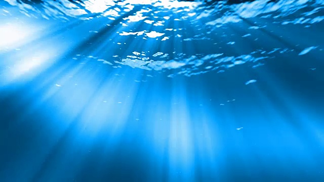 水下sceen。看看我的其他水下和海景动画视频素材画面2