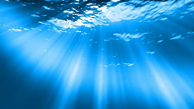 水下sceen。看看我的其他水下和海景动画视频素材画面3