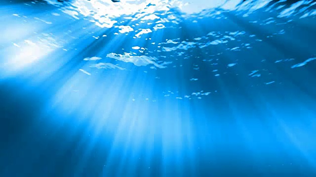 水下sceen。看看我的其他水下和海景动画视频素材画面4