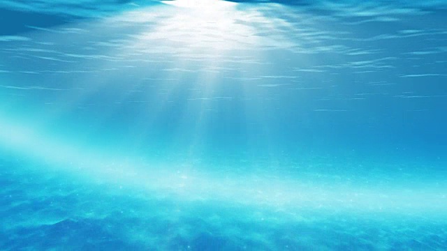 水下sceen。看看我的其他水下和海景动画视频素材画面2