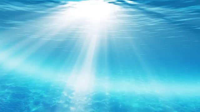 水下sceen。看看我的其他水下和海景动画视频素材画面3
