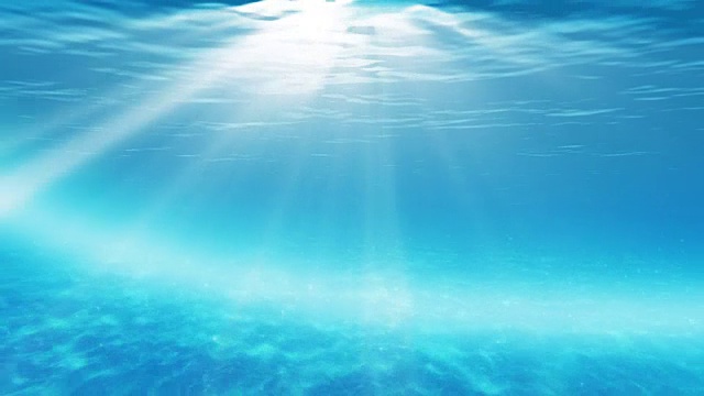 水下sceen。看看我的其他水下和海景动画视频素材画面4