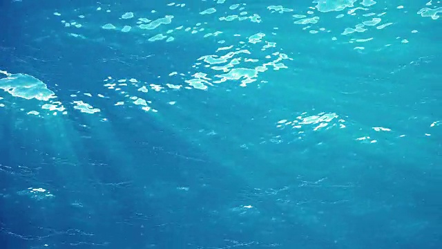 高质量的海浪动画从水下漂浮的浮游生物。光线照进来。伟大的流行海洋背景高清，高清晰度4k。视频素材画面1