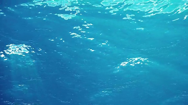 高质量的海浪动画从水下漂浮的浮游生物。光线照进来。伟大的流行海洋背景高清，高清晰度4k。视频素材画面2